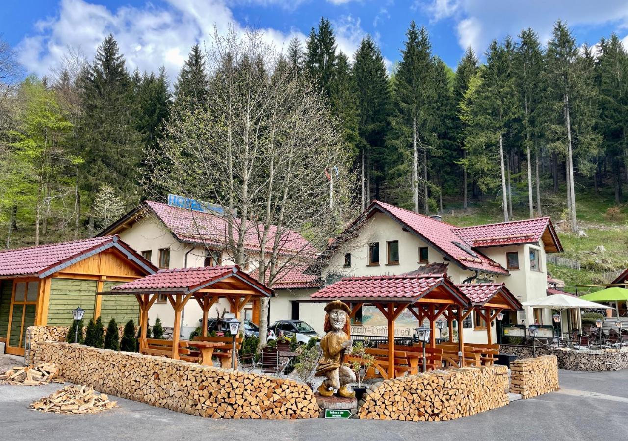 Hotel & Gasthaus Sterngrund ツェラ・メーリス エクステリア 写真