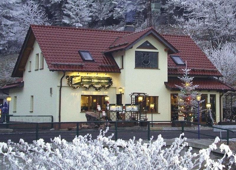 Hotel & Gasthaus Sterngrund ツェラ・メーリス エクステリア 写真